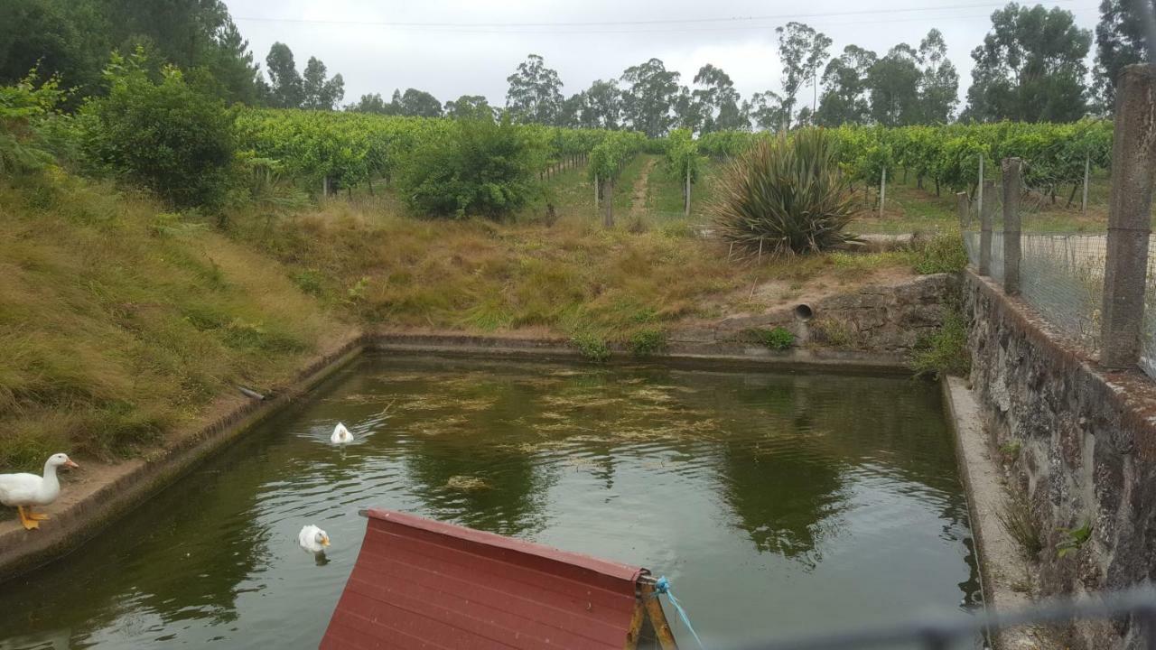 Quinta D'Areda Wine&Pool Experience Konuk evi Fafe Dış mekan fotoğraf