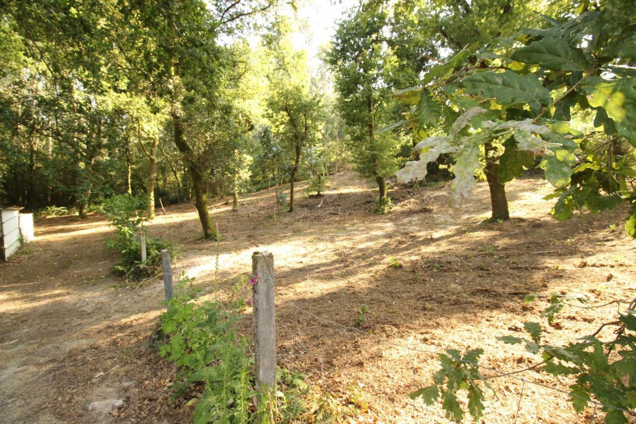 Quinta D'Areda Wine&Pool Experience Konuk evi Fafe Dış mekan fotoğraf