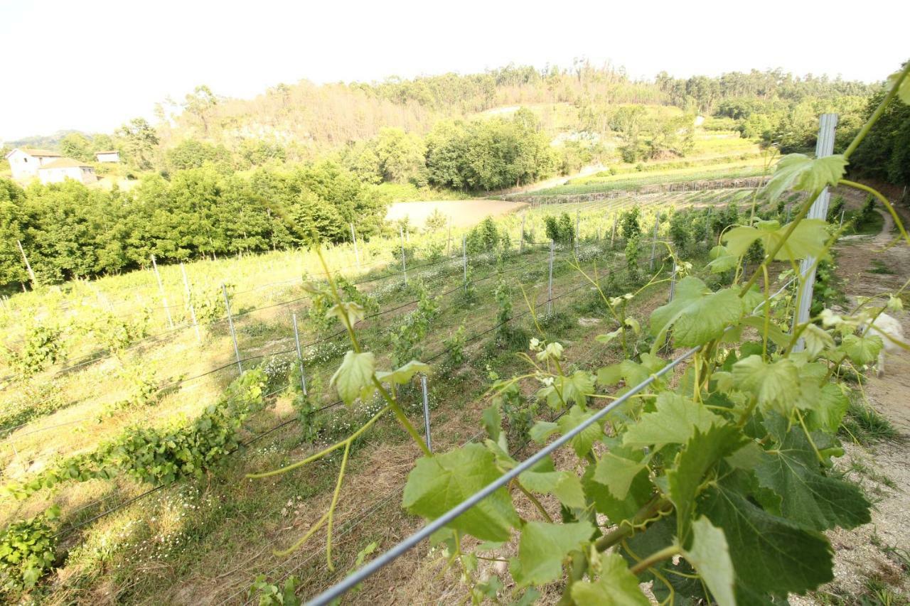 Quinta D'Areda Wine&Pool Experience Konuk evi Fafe Dış mekan fotoğraf