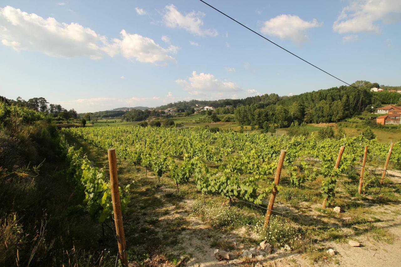 Quinta D'Areda Wine&Pool Experience Konuk evi Fafe Dış mekan fotoğraf